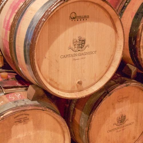 Burgundy  Wine barrels