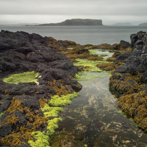 Isle of Skye  Harlosh Point
